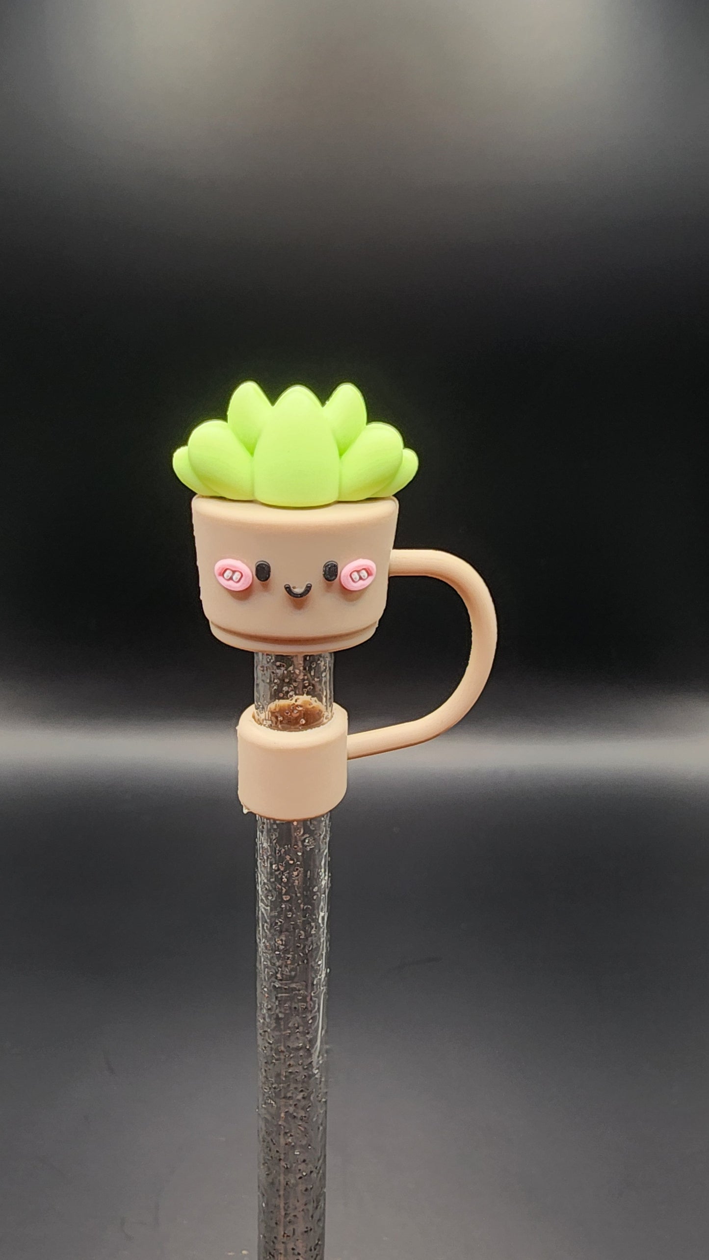 Succulent plant 3D topper 10mm