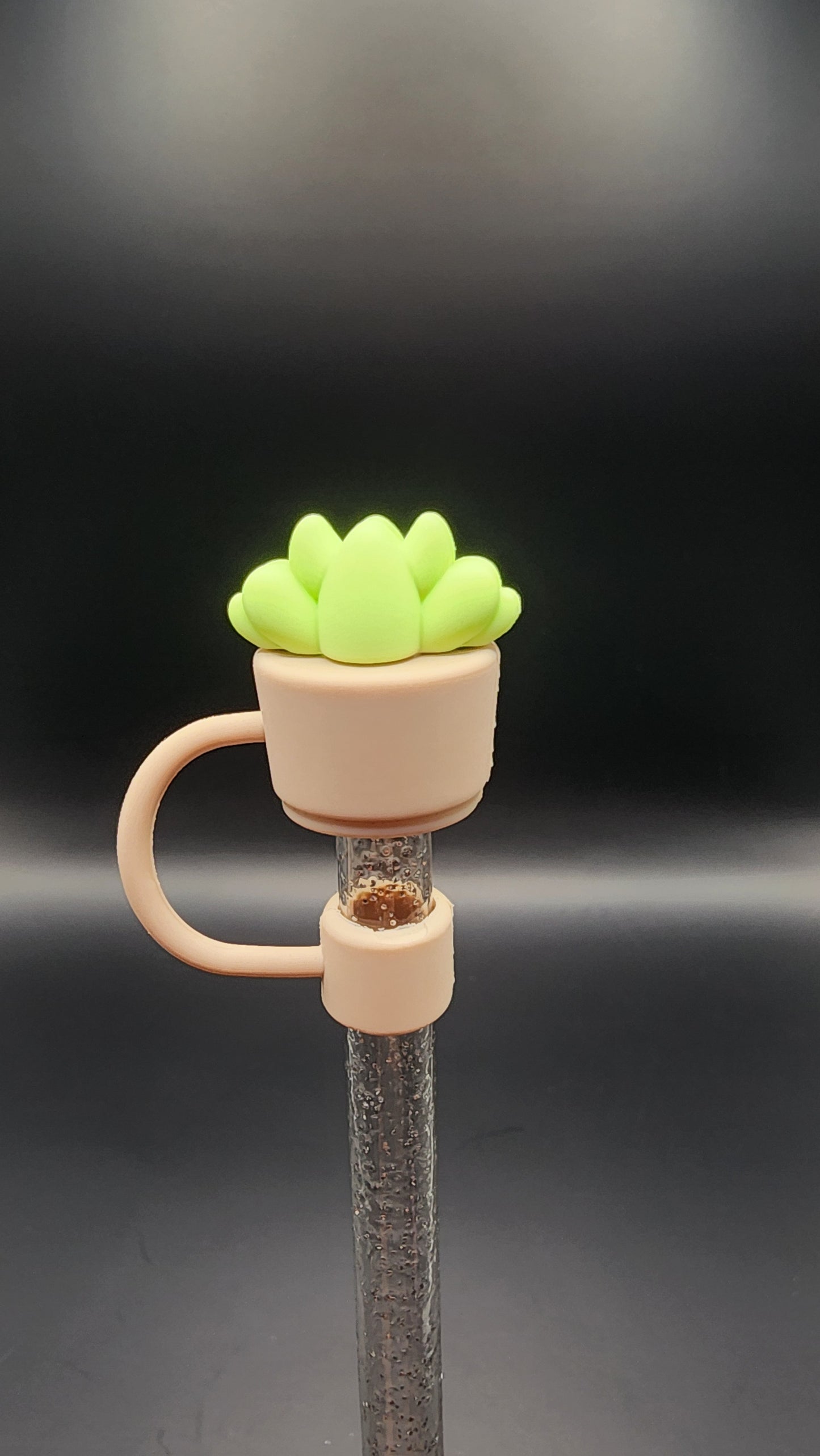 Succulent plant 3D topper 10mm